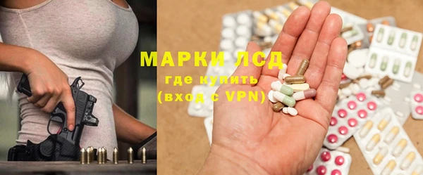 шишки Краснослободск
