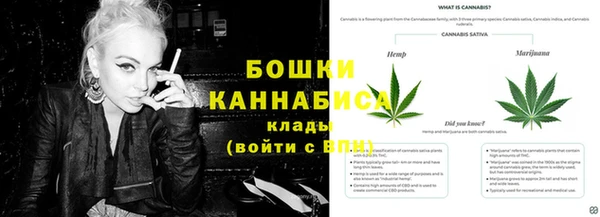 ALPHA PVP Кодинск