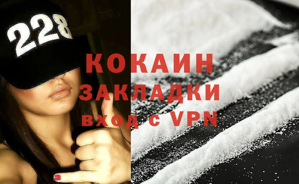 шишки Краснослободск