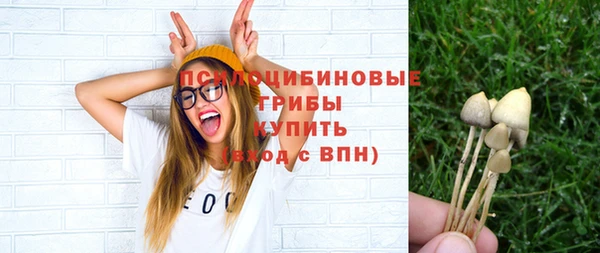 герыч Козловка
