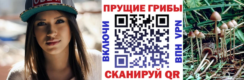 Псилоцибиновые грибы ЛСД  Купить  Завитинск 
